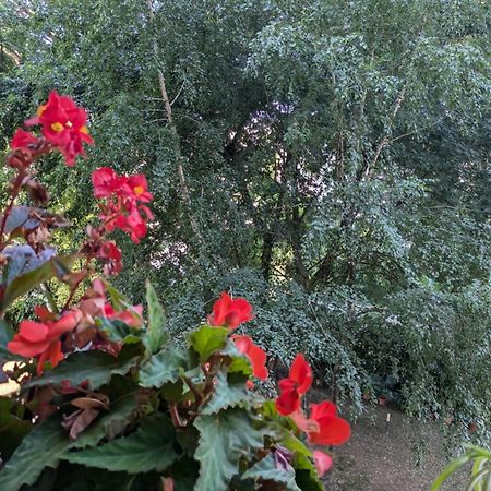 Appartamento Viale Puccini - Free Gated Parking - 3 Minutes From Center Lucca Bagian luar foto