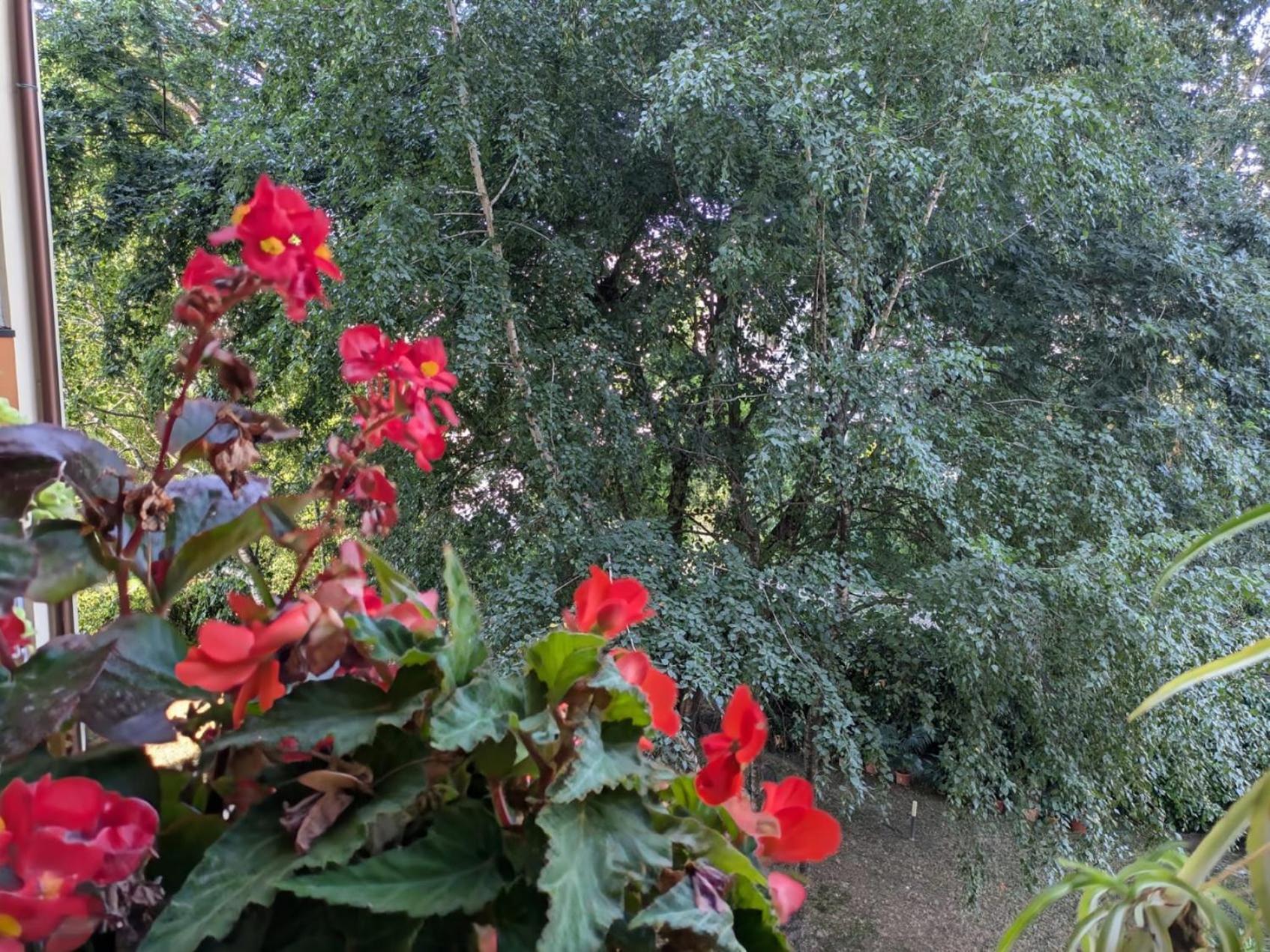 Appartamento Viale Puccini - Free Gated Parking - 3 Minutes From Center Lucca Bagian luar foto
