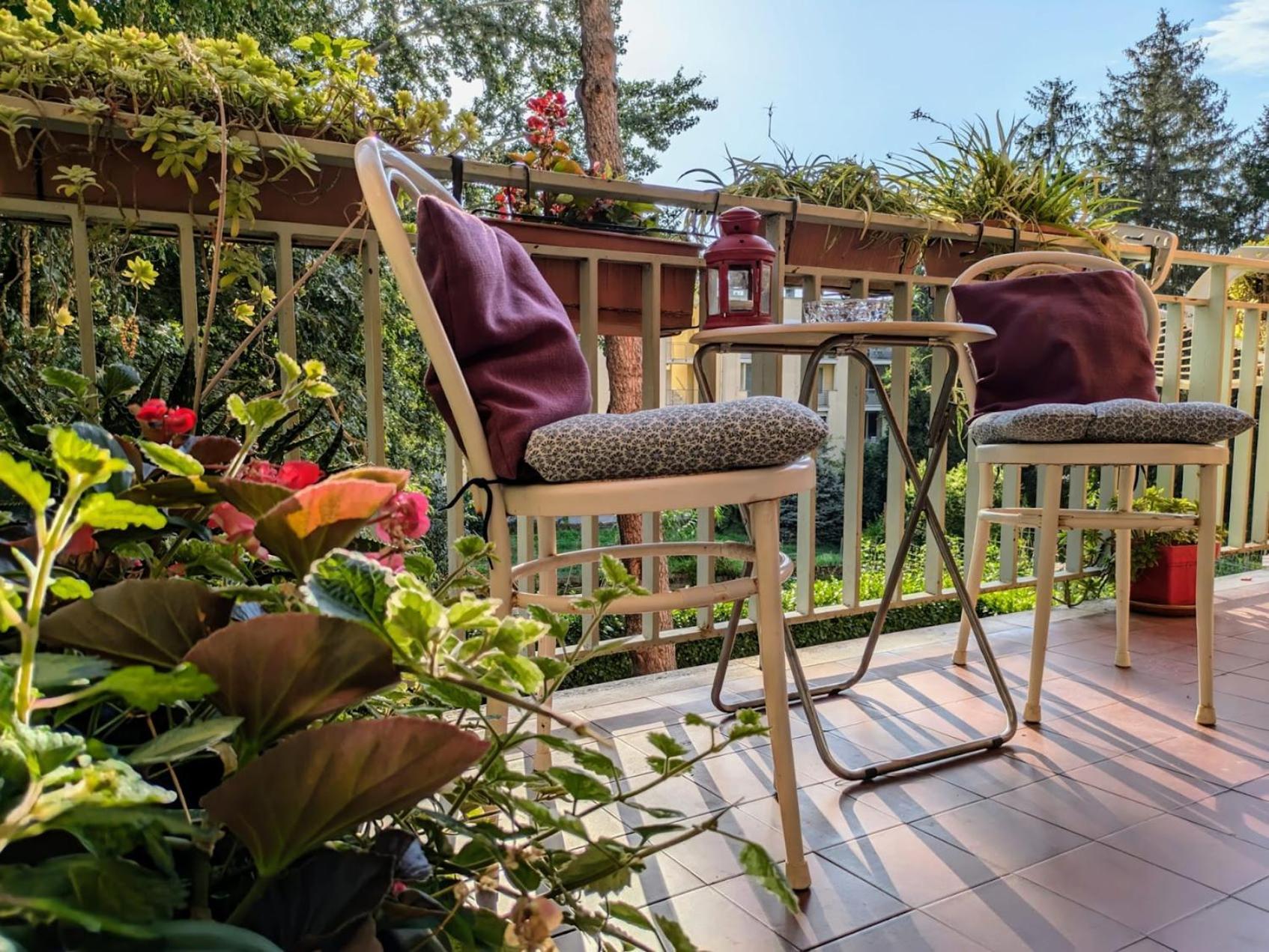 Appartamento Viale Puccini - Free Gated Parking - 3 Minutes From Center Lucca Bagian luar foto