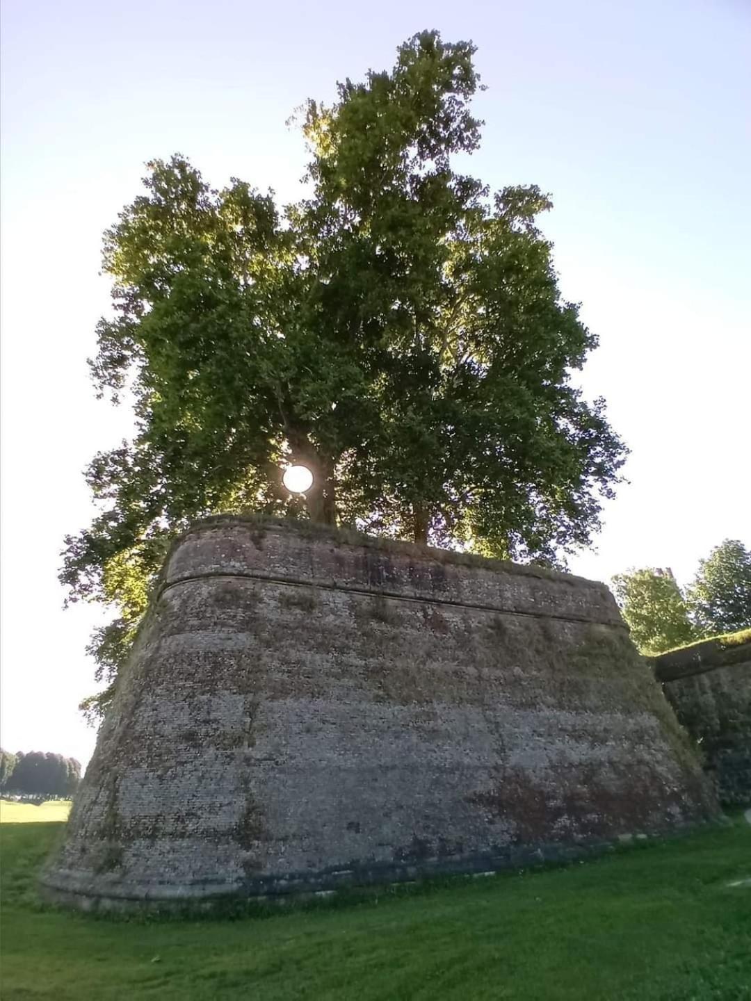 Appartamento Viale Puccini - Free Gated Parking - 3 Minutes From Center Lucca Bagian luar foto